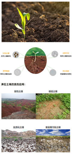 沸石土壤改良劑在土壤修復(fù)中的應(yīng)用與優(yōu)勢