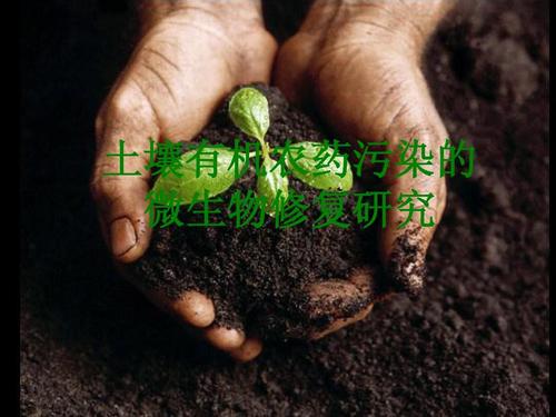 土壤有機農藥污染的生物修復ppt