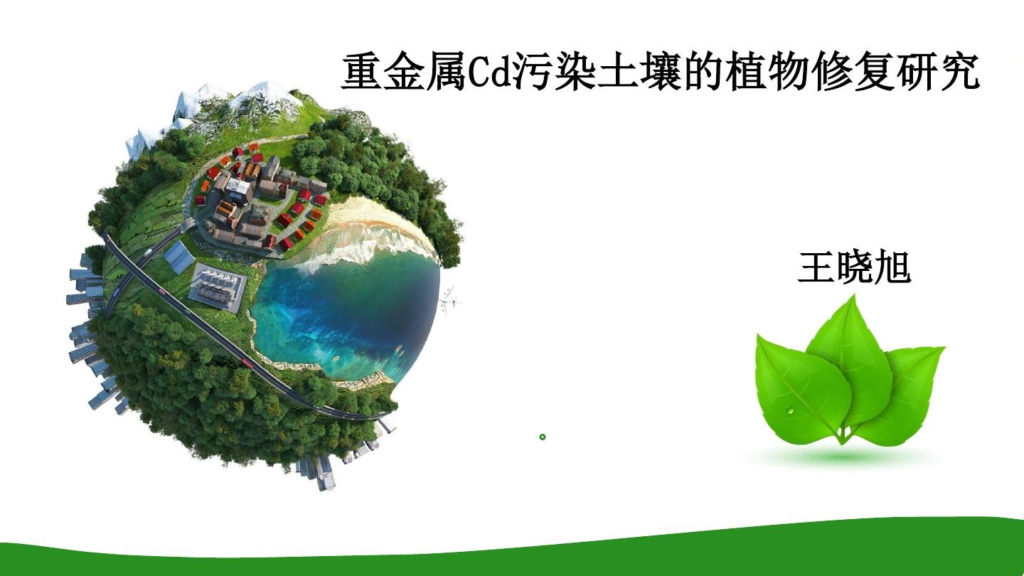重金屬污染土壤植物修復ppt_word文檔在線閱讀與下載_免費文檔